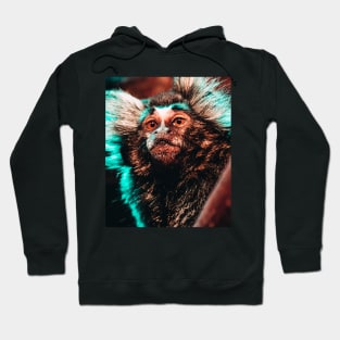 Mischievous Marmoset Monkey Photograph Hoodie